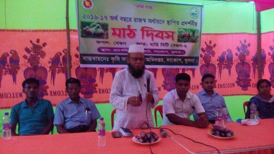 বিটি বেগুন এর মাঠ দিবস