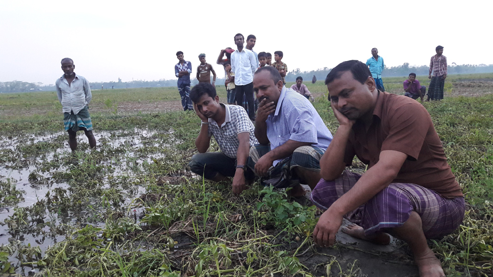 ভারী বৃষ্টিতে চাঁদপুরের মতলব দক্ষিণ উপজেলায় আলু ফসলে ক্ষয়-ক্ষতি বিষয়ক অভিজ্ঞতা