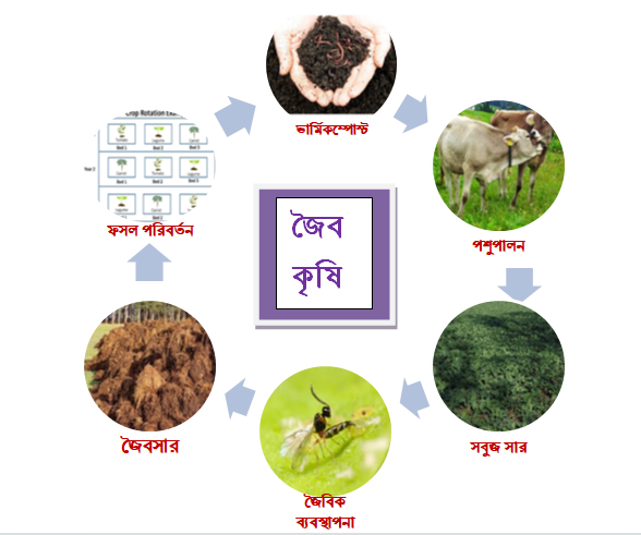 জৈবকৃ‌ষি