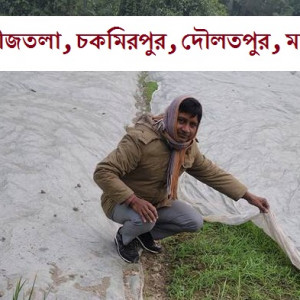 বৈন্যা ব্লক,দৌলতপুর,মানিকগঞ্জ